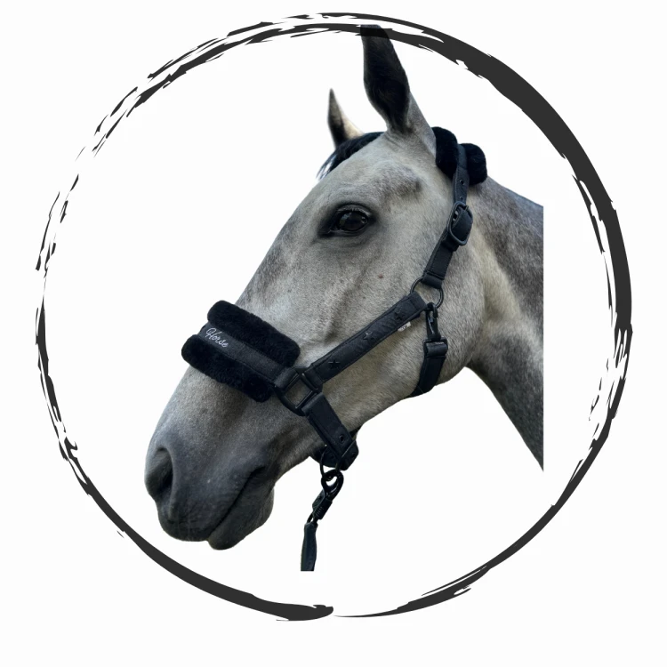 Rockin Horse-50.png