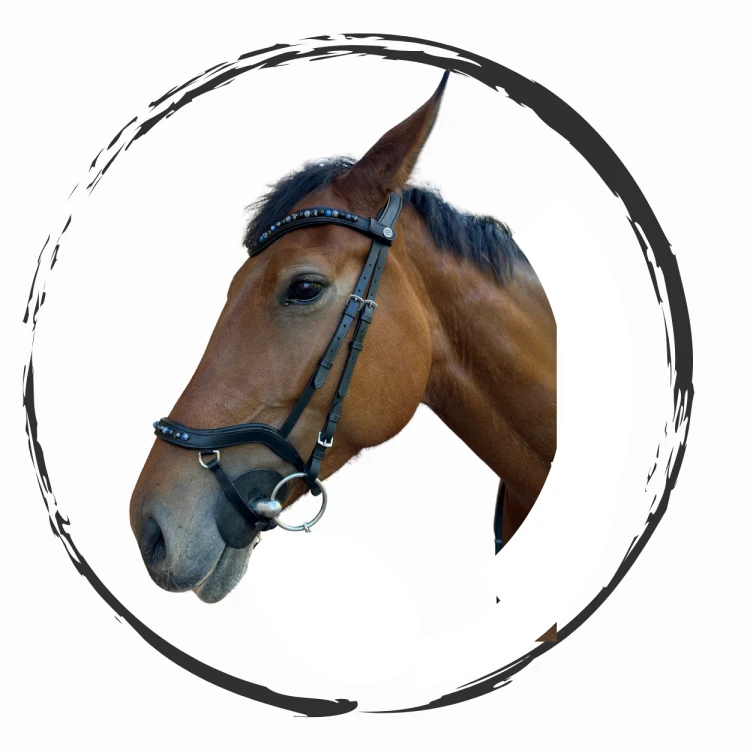 Rockin Horse-55.png