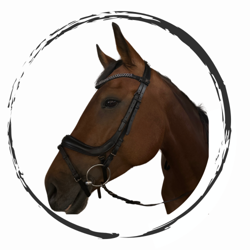 Rockin Horse-57.png