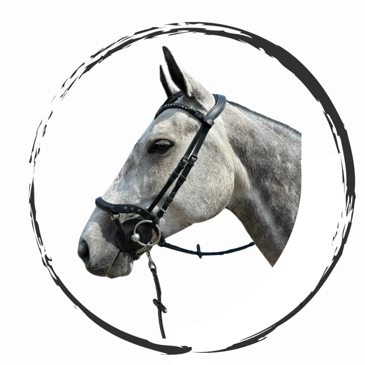 Rockin Horse-56.png